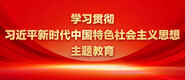 操大逼视频学习贯彻习近平新时代中国特色社会主义思想主题教育_fororder_ad-371X160(2)